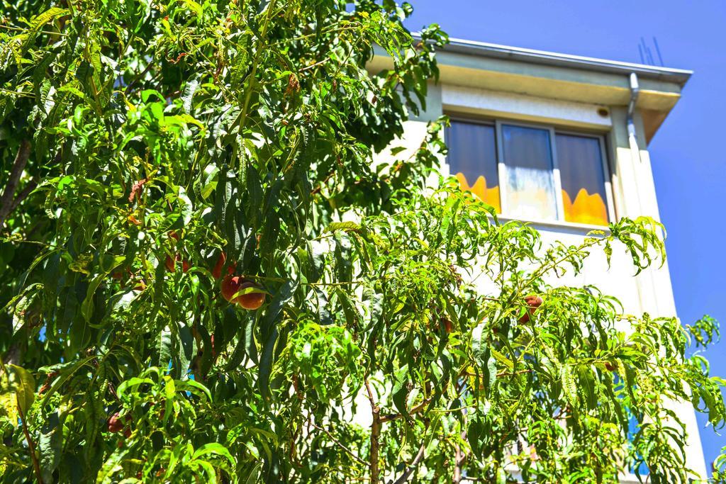 Pemaj Hostel Shkodra Kültér fotó